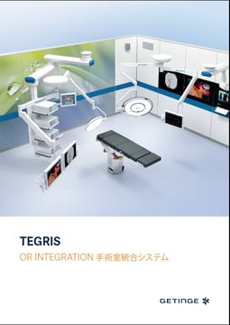 Tegris-Japanese-Brochure